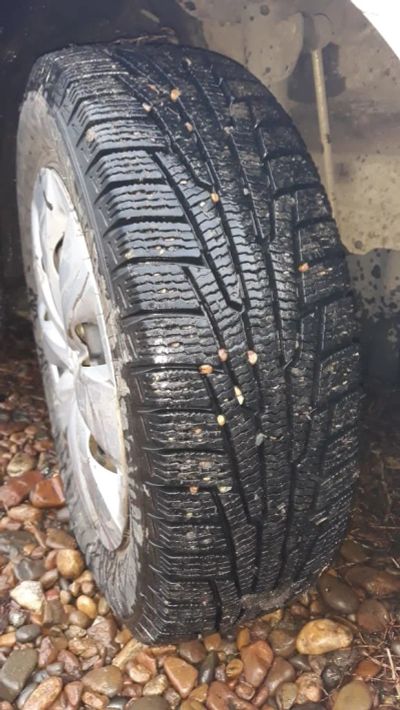Лот: 14930568. Фото: 1. Nokian Nordman RS2 175/65 r14... Шины
