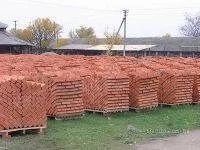 Лот: 5475563. Фото: 1. Кирпич Ачинск М-100 1/350. Блоки, кирпич, брусчатка