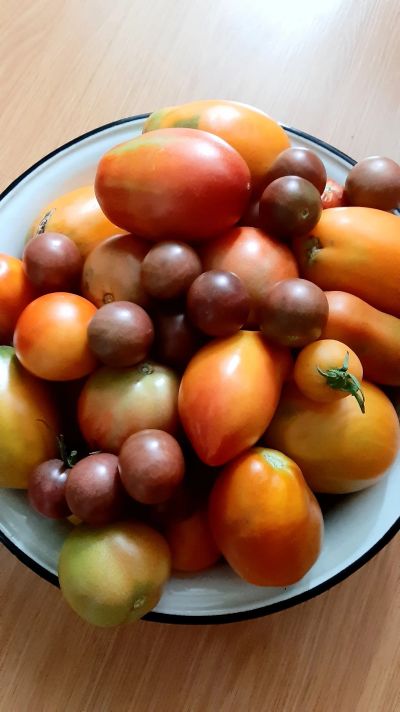 Лот: 20739269. Фото: 1. Помидоры домашние вкусные 4. Овощи, фрукты, зелень