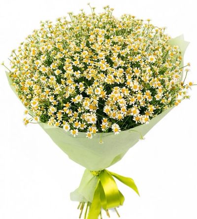 Лот: 7223097. Фото: 1. Сборный букет. Цветы на Щорса... Свежие цветы