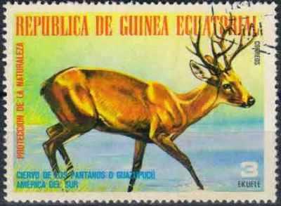 Лот: 21440452. Фото: 1. 1977. Экваториальная Гвинея. Животные... Марки