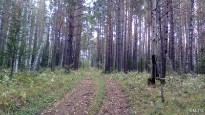 Лот: 10221349. Фото: 1. Участок 10 сот. между Усть-Маной... Земельные участки