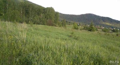 Лот: 13858602. Фото: 1. земельный участок в п. Манский... Земельные участки