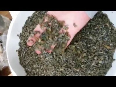 Лот: 10684191. Фото: 1. Мормыш живой крупный. Другое (рыбалка)
