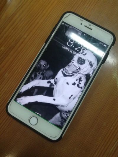 Лот: 12438492. Фото: 1. iPhone 6 Plus 64gb. Смартфоны