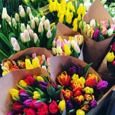 Лот: 9163114. Фото: 1. Тюльпаны к 8 марта! Низкие цены... Подарки на 8 марта