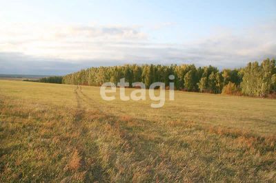 Лот: 21339424. Фото: 1. Продам участок 11 сот. Качинское... Земельные участки