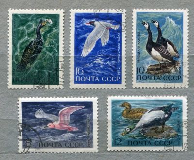 Лот: 6839195. Фото: 1. 1972 СССР Водоплавающие птицы... Марки