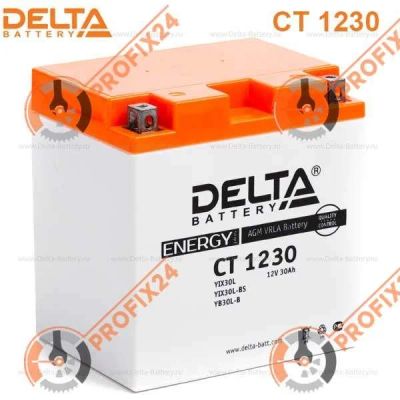 Лот: 14326651. Фото: 1. Аккумулятор DELTA CT 1230/YIX30L... Аккумуляторы