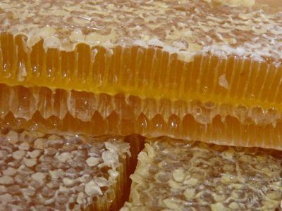 Лот: 1182541. Фото: 1. МЁД качка 2013 года. Мёд, продукты пчеловодства
