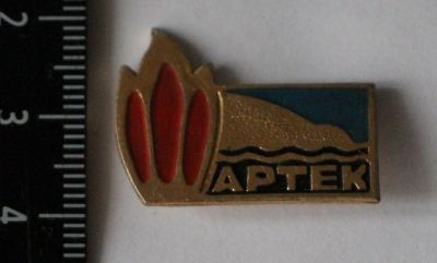 Лот: 11467117. Фото: 1. Значок: Пионерский лагерь Артек... Сувенирные