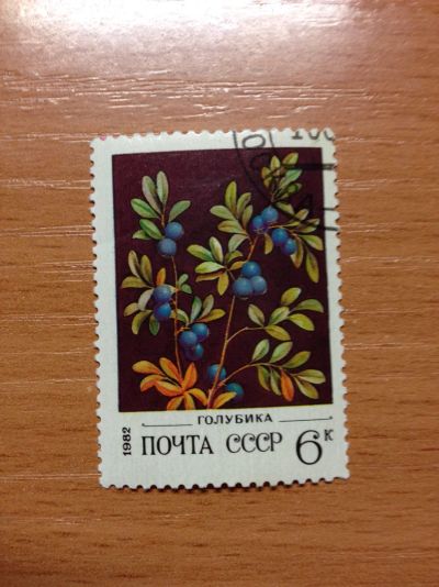 Лот: 5120728. Фото: 1. 1982 Голубика (5206). Марки