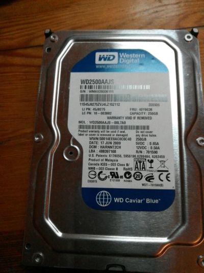 Лот: 4761529. Фото: 1. WD 250gb SATA II. Жёсткие диски