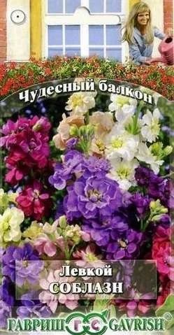 Лот: 11025673. Фото: 1. Левкой Соблазн* 0,1 г. Садовые цветы