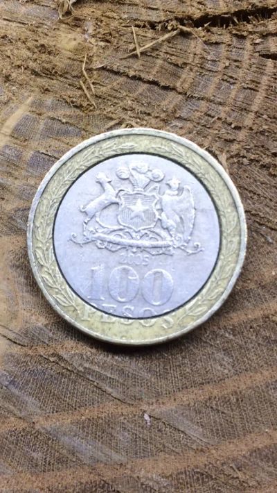 Лот: 19614853. Фото: 1. Монета Чили 100 песо 2005 год. Америка