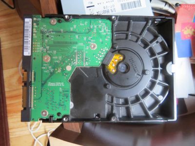 Лот: 4285701. Фото: 1. Жесткий диск HDD SATA Western... Жёсткие диски (HDD)