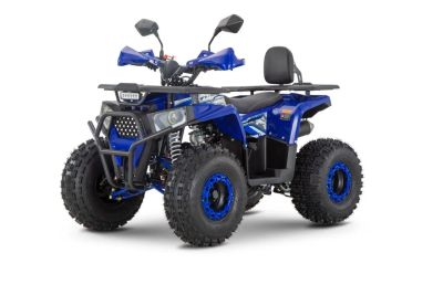 Лот: 24627689. Фото: 1. Квадроцикл WELS Trail 125 Pro... Снегоходы, квадроциклы