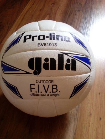Лот: 5798651. Фото: 1. Мяч волейбольный Gala Pro-Line... Мячи, ракетки, шайбы, клюшки