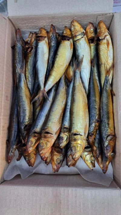 Лот: 20736995. Фото: 1. Иваси х/к.Доставка. Икра, рыба, морепродукты
