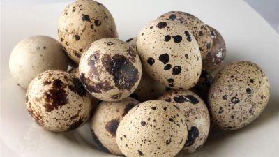 Лот: 6408363. Фото: 1. Перепелиные яйца (домашние). Мясо, птица, яйцо