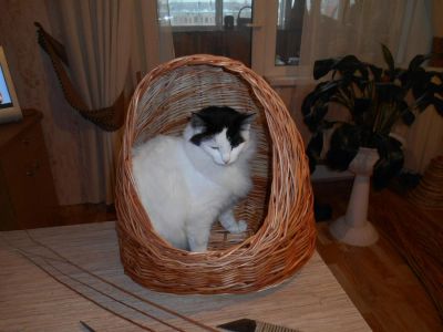 Лот: 6513492. Фото: 1. Кошкин дом. Домики, переноски, клетки, когтеточки