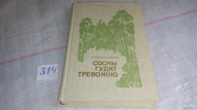 Лот: 8995210. Фото: 1. Сосны гудят тревожно, Алексей... Художественная