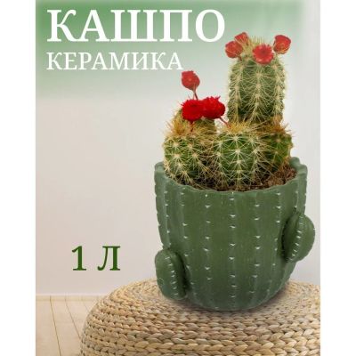 Лот: 24101517. Фото: 1. Кашпо керамика, 1 л, 14х12х14... Кашпо, горшки, вазоны для цветов