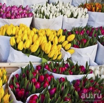Лот: 13318496. Фото: 1. Крупные тюльпаны оптом. Прямая... Подарки на 8 марта