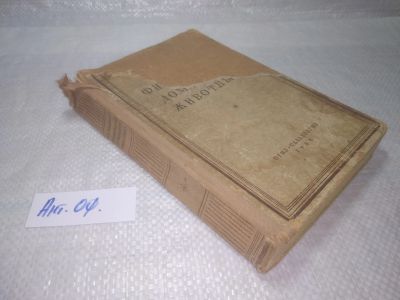 Лот: 25833392. Фото: 1. озю,вбр(Ант.оф.) К.Р. Викторов... Домашние животные