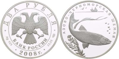 Лот: 10761873. Фото: 1. 2 рубля 2008 черноморская шемая. Россия после 1991 года