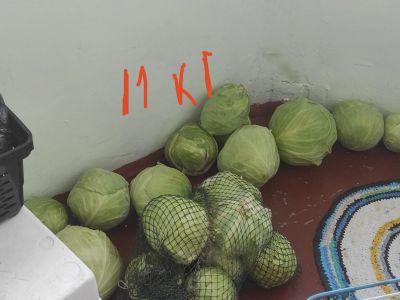 Лот: 24073977. Фото: 1. капуста 11 кг. Овощи