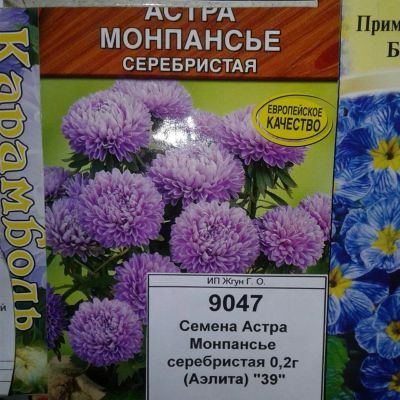 Лот: 9113438. Фото: 1. Семена / цветы / Астра / Монпансье... Садовые цветы