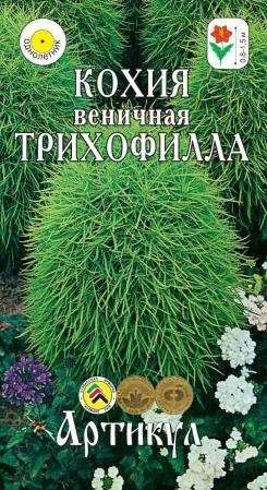 Лот: 11025678. Фото: 1. Кохия Трихофилла 0,3гр. Садовые цветы