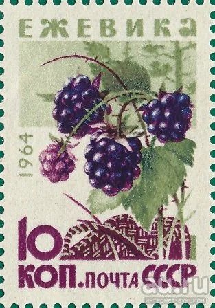 Лот: 16357723. Фото: 1. 1964, декабрь. Ягоды. н.с. № 3135. Марки