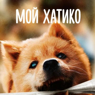 Лот: 24290066. Фото: 1. Мой Хатико. Видеозаписи, фильмы
