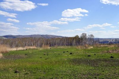 Лот: 6151793. Фото: 1. Куплю пай. Земельные участки