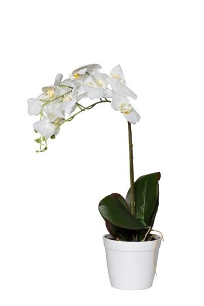 Лот: 21292267. Фото: 1. Орхидея белая в горшке h65 см... Искусственные и сувенирные цветы