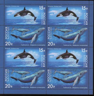 Лот: 18343599. Фото: 1. Россия 2012 Малый лист 2х4 * 15... Марки