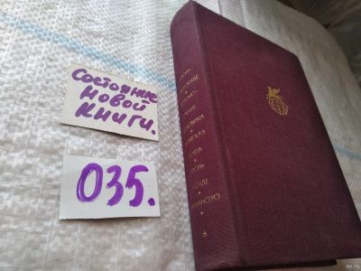 Лот: 18264499. Фото: 1. Утопический роман XVI - XVII веков... Художественная