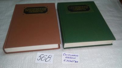 Лот: 10638415. Фото: 1. Современная Московская повесть... Художественная