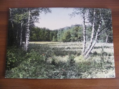 Лот: 5038183. Фото: 1. Картина - пейзаж. Произведения