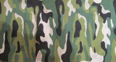 Лот: 5546139. Фото: 1. Buff бандана-трансформер - балаклава... Другое (аксессуары)