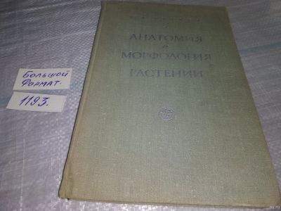 Лот: 18486478. Фото: 1. Тутаюк В. Х. Анатомия и морфология... Биологические науки