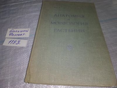 Лот: 18486478. Фото: 1. Тутаюк В. Х. Анатомия и морфология... Биологические науки