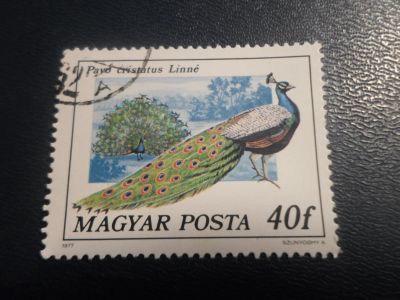 Лот: 17196738. Фото: 1. Марка для Вашей коллекции. №25303. Марки