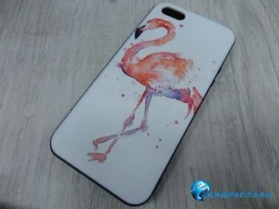 Лот: 13419072. Фото: 1. Чехол силикон пластик iPhone 5... Чехлы, бамперы