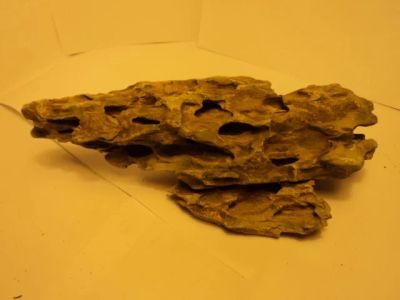 Лот: 6858651. Фото: 1. камень зуб дракона. Грунты, украшения, наполнения