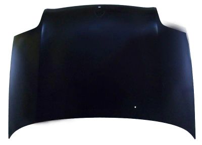 Лот: 7422760. Фото: 1. Капот Renault Clio (Клио ) (1998... Кузов
