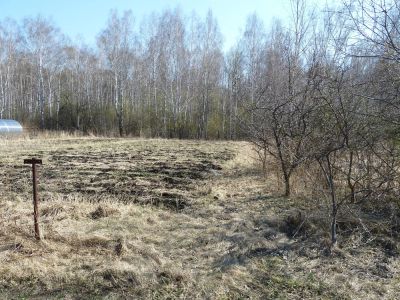 Лот: 4043231. Фото: 1. Участок 10 сот. снт. Таскино. Земельные участки