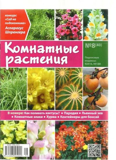 Лот: 9531609. Фото: 1. №2 Журнал Комнатные растения. Быт и семья